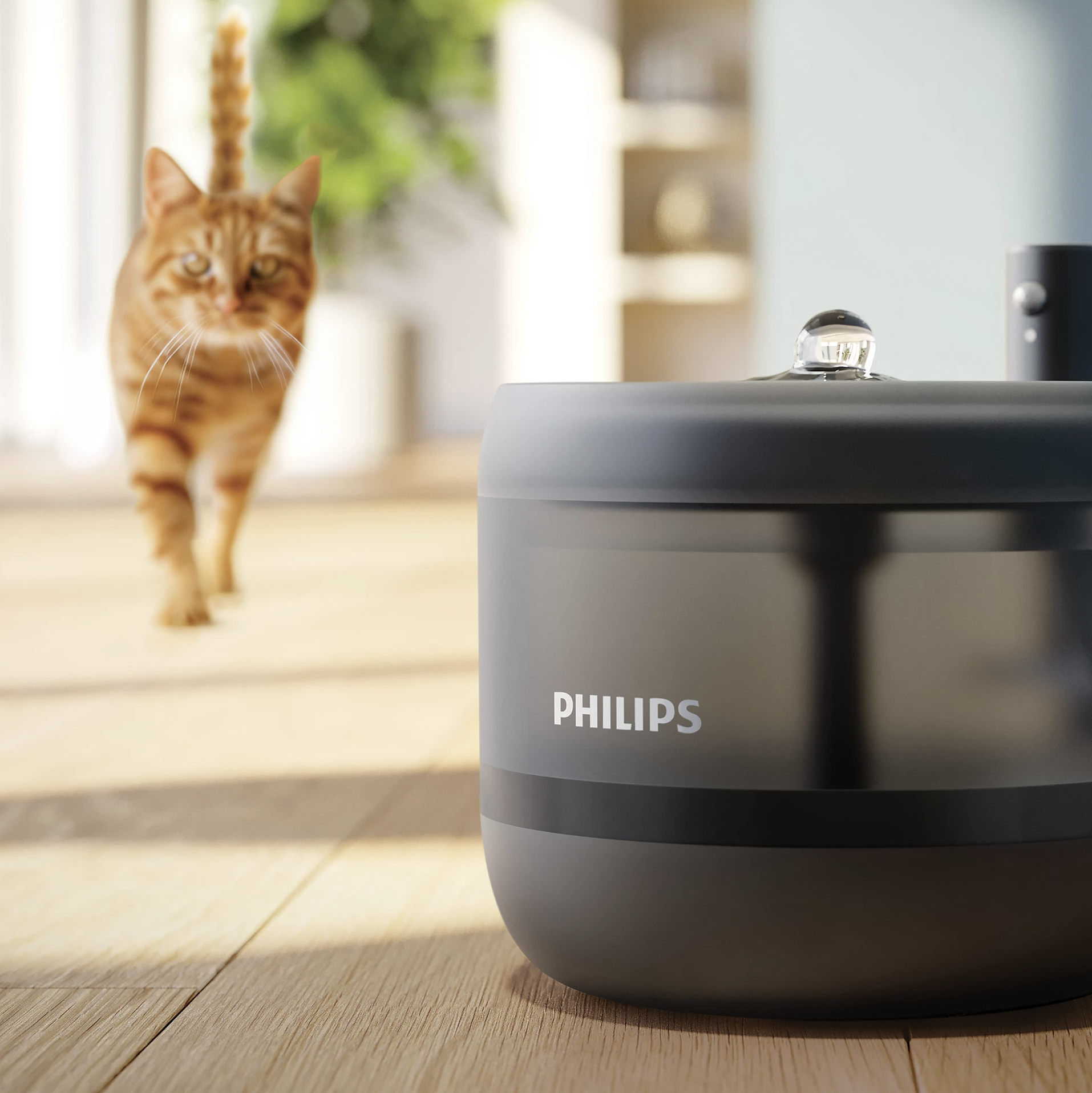 PHILIPS PDPAW3210/02
