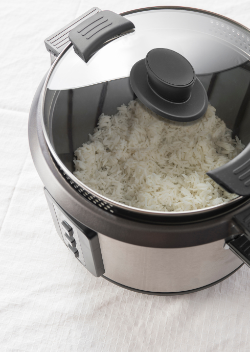 FRITEL 142905 FRITEL 142905